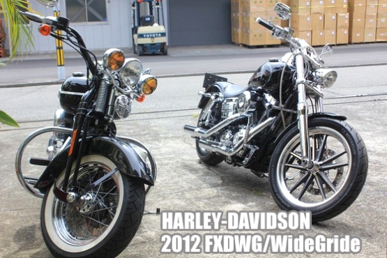 2012 FXDWG