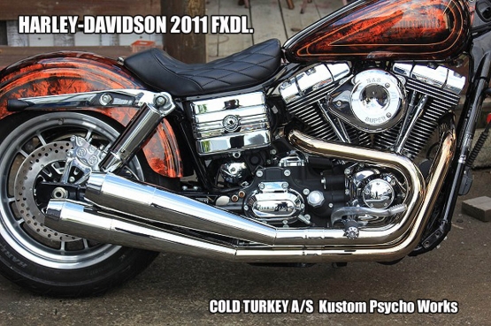2011FXDL-05